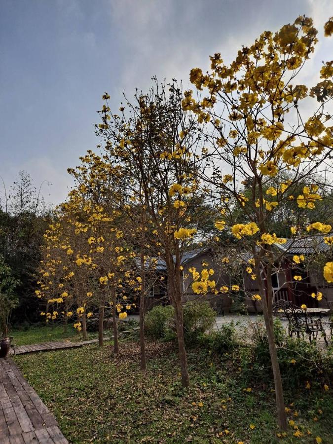 蓬萊生態農場仙山民宿 Nanzhuang Exteriér fotografie